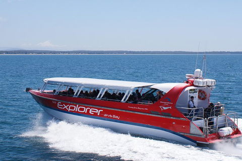 Whale Watching Jervis Bay - Restaurant Gold Coast 1