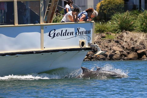 Tweed River And Rainforest Eco Cruise - Restaurant Gold Coast 2