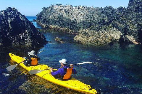 Half Day Sea Kayak Tour From Batemans Bay - Restaurant Gold Coast 1