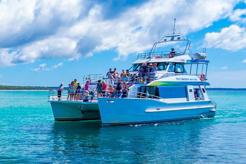 Jervis Bay Whale Watching Tour - Restaurant Gold Coast 2