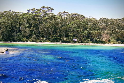 Jervis Bay Passage Tour - Restaurant Gold Coast 1