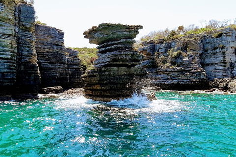 Jervis Bay Passage Tour - Restaurant Gold Coast 15