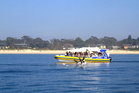 Jervis Bay Passage Tour - Restaurant Gold Coast 16