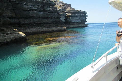 Jervis Bay Passage Tour - Restaurant Gold Coast 14