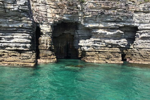 Jervis Bay Passage Tour - Restaurant Gold Coast 13
