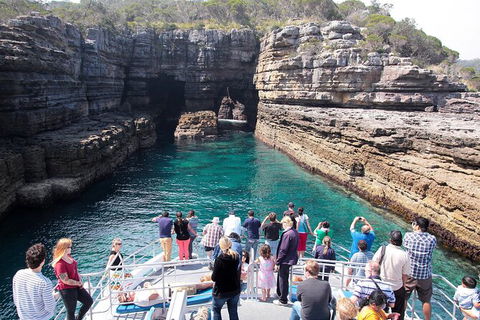 Jervis Bay Passage Tour - Restaurant Gold Coast 3