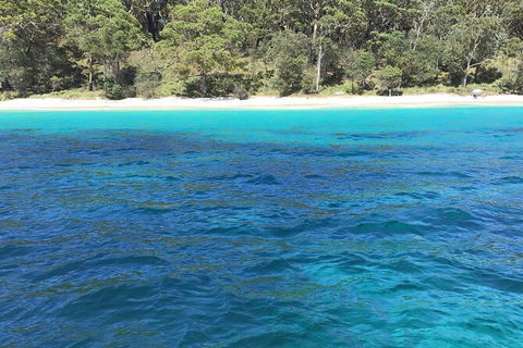 Jervis Bay Passage Tour - Restaurant Gold Coast 5