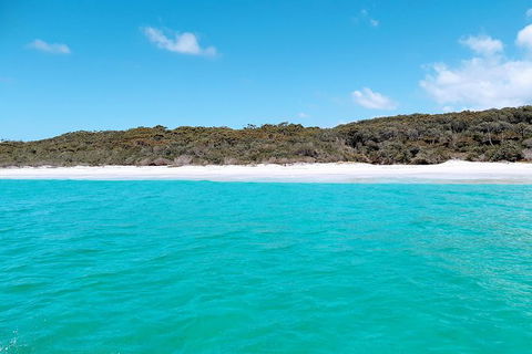 Jervis Bay Passage Tour - Restaurant Gold Coast 10