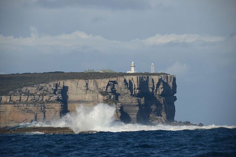 Jervis Bay Passage Tour - Restaurant Gold Coast 8