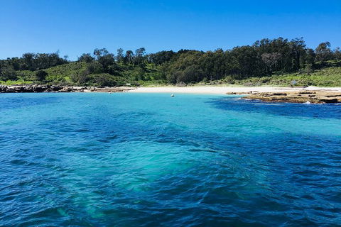 Jervis Bay Passage Tour - Restaurant Gold Coast 2