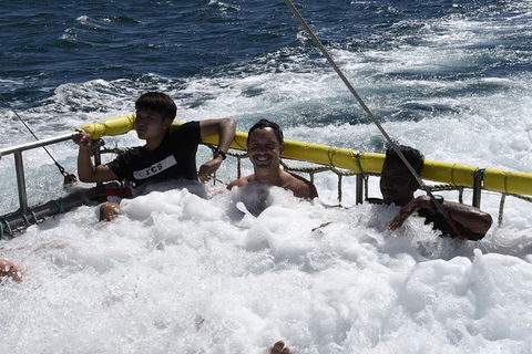 Jervis Bay Boom Netting And Dolphins Tour - Restaurant Gold Coast 9