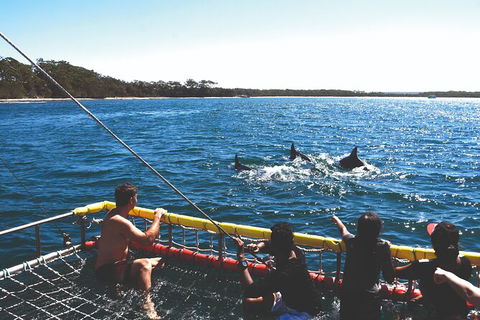 Jervis Bay Boom Netting And Dolphins Tour - Restaurant Gold Coast 2