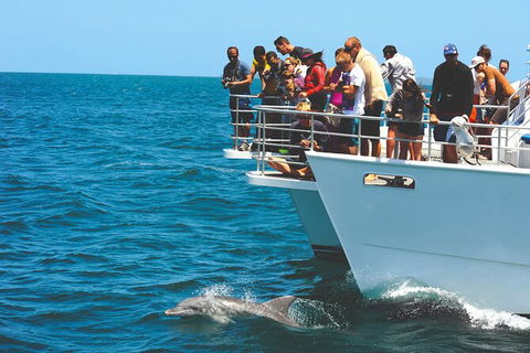 Jervis Bay Boom Netting And Dolphins Tour - Restaurant Gold Coast 10