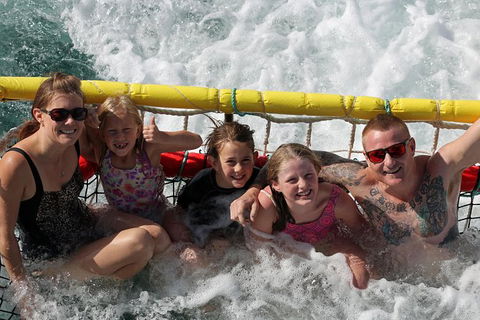 Jervis Bay Boom Netting And Dolphins Tour - Restaurant Gold Coast 11