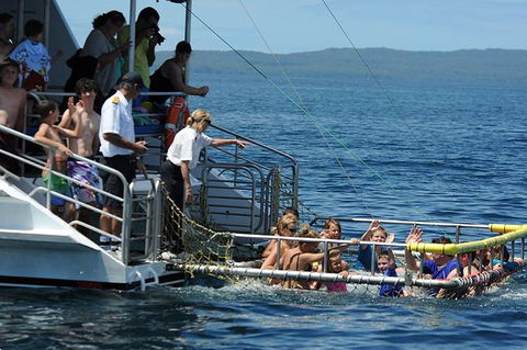 Jervis Bay Boom Netting And Dolphins Tour - Restaurant Gold Coast 5