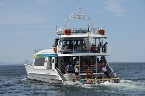 Jervis Bay Boom Netting And Dolphins Tour - Restaurant Gold Coast 12