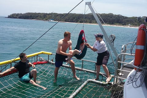Jervis Bay Boom Netting And Dolphins Tour - Restaurant Gold Coast 7