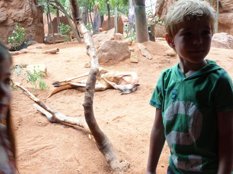 WILD LIFE Sydney Entrance Ticket - Restaurant Gold Coast 10