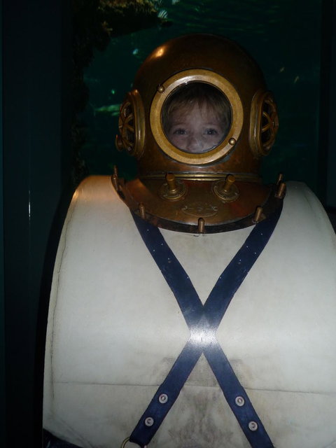 WILD LIFE Sydney Entrance Ticket - Restaurant Gold Coast 3