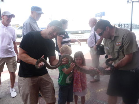 WILD LIFE Sydney Entrance Ticket - Restaurant Gold Coast 11