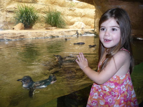 WILD LIFE Sydney Entrance Ticket - Restaurant Gold Coast 2