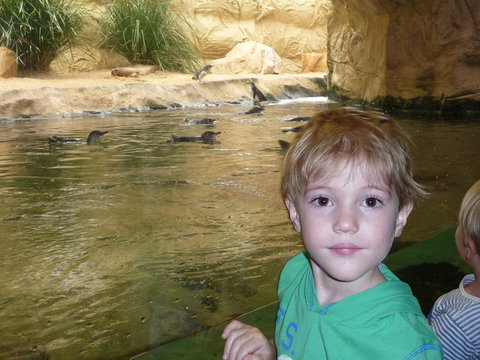 WILD LIFE Sydney Entrance Ticket - Restaurant Gold Coast 5