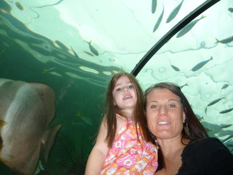 WILD LIFE Sydney Entrance Ticket - Restaurant Gold Coast 4