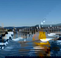 Batemans Bay Oyster Tasting Kayak Tour - Restaurant Gold Coast