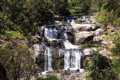 Agnes Falls Scenic Reserve - Restaurant Gold Coast 0