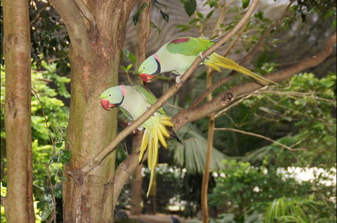 Apple Tree Creek - Restaurant Gold Coast 2