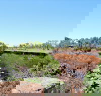 Bladensburg National Park - Restaurant Gold Coast