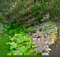 Brindle Creek Walking Track - Restaurant Gold Coast