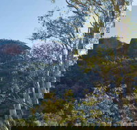 Canyon Picnic Area - Restaurant Gold Coast