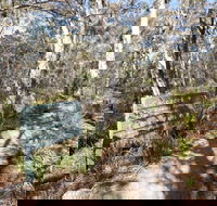 Cascades walking track and viewing platform - Restaurant Gold Coast