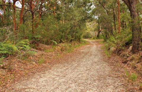 Daleys Point Walking Track - Restaurant Gold Coast 0