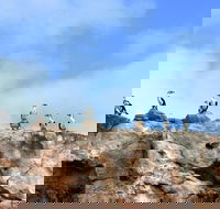 Dirk Hartog Island National Park - Restaurant Gold Coast