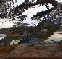 Duck Lagoon - Restaurant Gold Coast