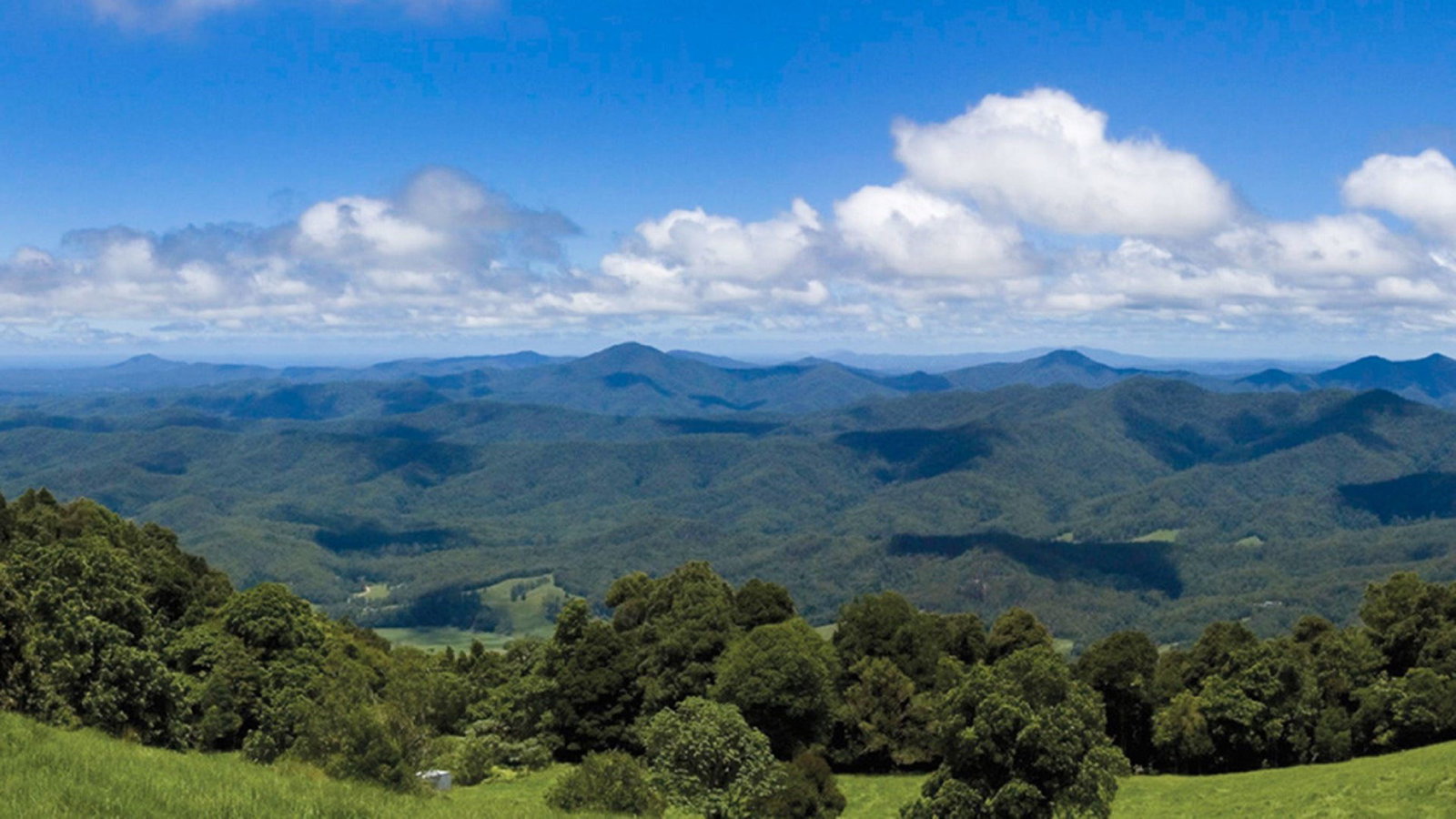 North Dorrigo NSW Restaurant Gold Coast
