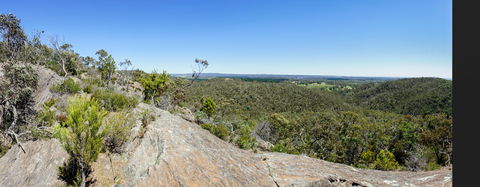 Hale Conservation Park - Restaurant Gold Coast 0