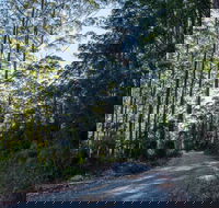 Hastings Forest Way Touring Route - Restaurant Gold Coast
