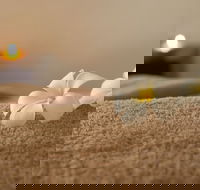 Heavenly Hunter Massage - Restaurant Gold Coast