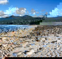 Hinchinbrook Island - Restaurant Gold Coast