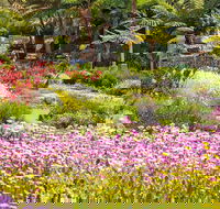 Jurassic Garden AR Experience - Restaurant Gold Coast