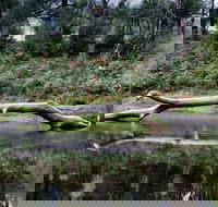 Kayaking Upper Tuross River and Bumbo Lake - Restaurant Gold Coast