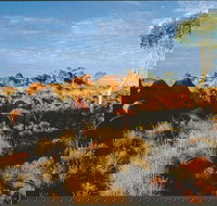 Kunjarra/The Pebbles - Restaurant Gold Coast