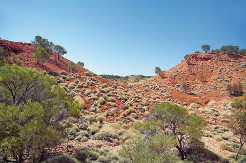 Lark Quarry Conservation Park - Restaurant Gold Coast 0