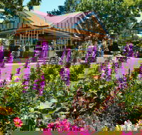 Laurel Bank Park - Restaurant Gold Coast