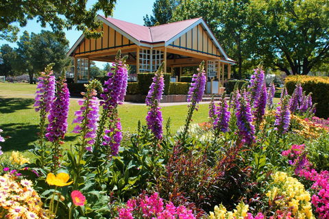 Laurel Bank Park - Restaurant Gold Coast 0