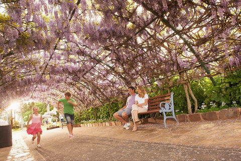 Laurel Bank Park - Restaurant Gold Coast 1