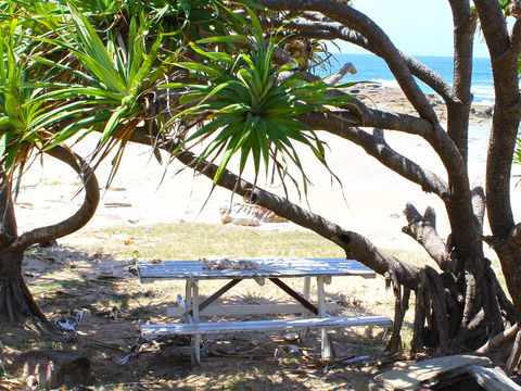 Little Shelley - Restaurant Gold Coast 2